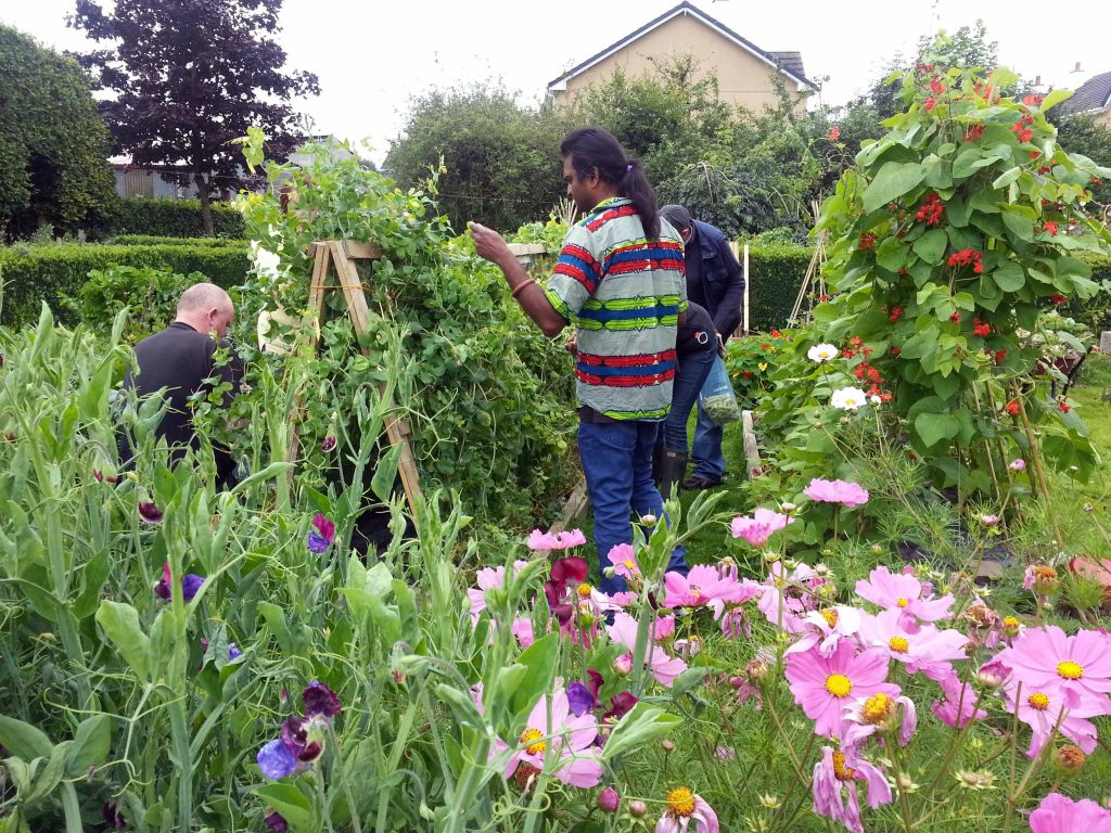 Horticulture Courses, Training and Educators in Ireland and Northern